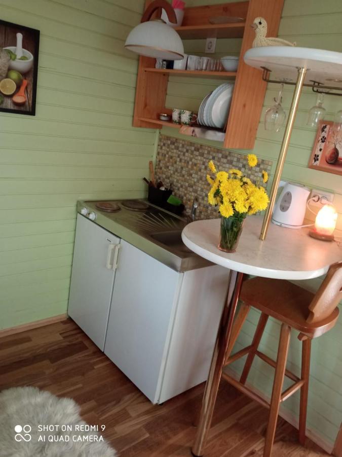 Jurmala`s Center Mini House Villa Dış mekan fotoğraf